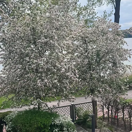 Διαμέρισμα In Mit Seeblick Plau am See
