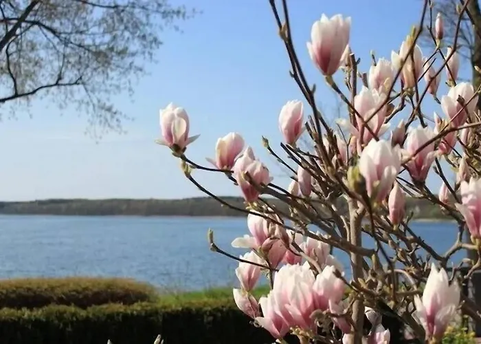 In Mit Seeblick アパート